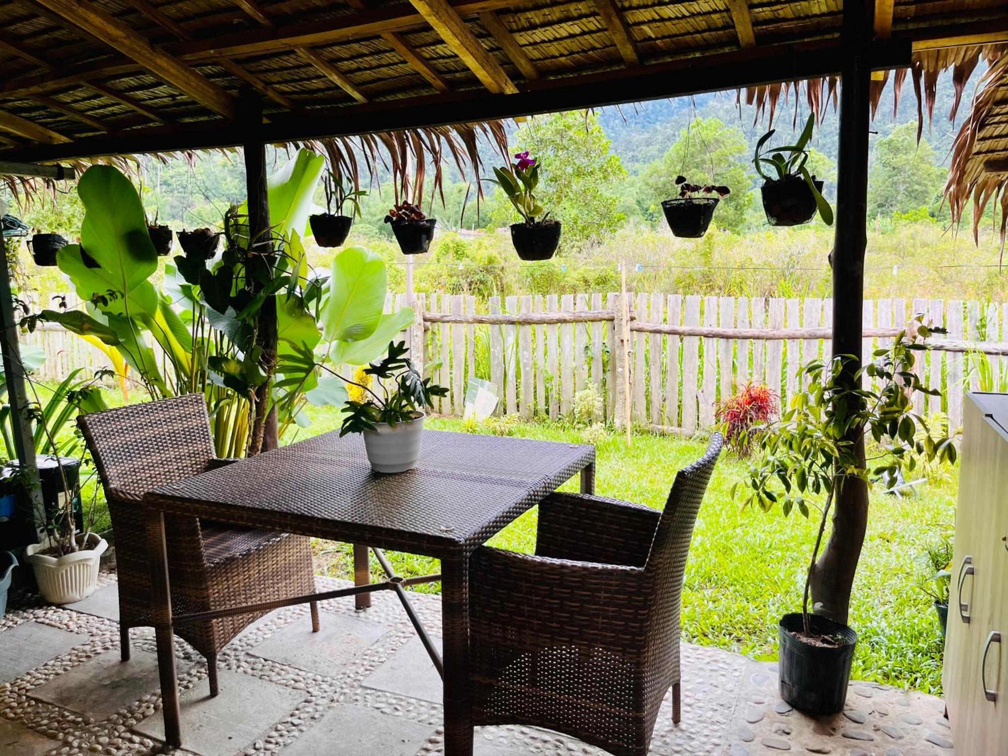 Guest house La Palapa Port Barton