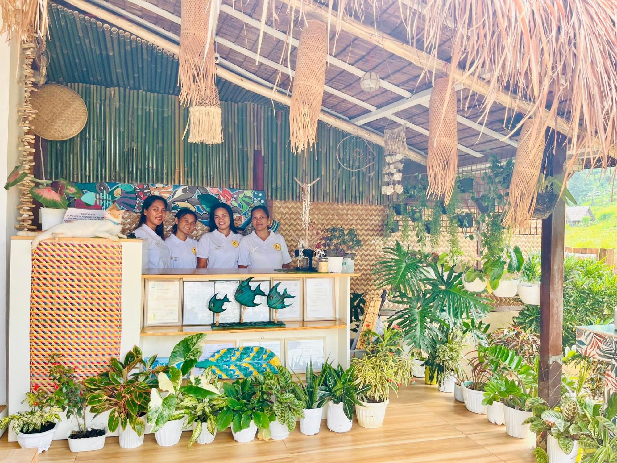 La Palapa Port Barton Guest house